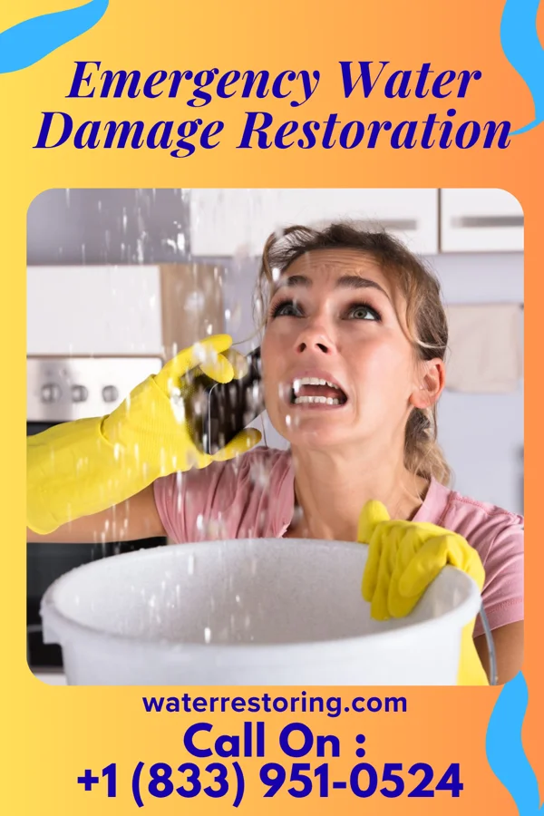 Emergency Water Damage Restoration in Wayne, IL
